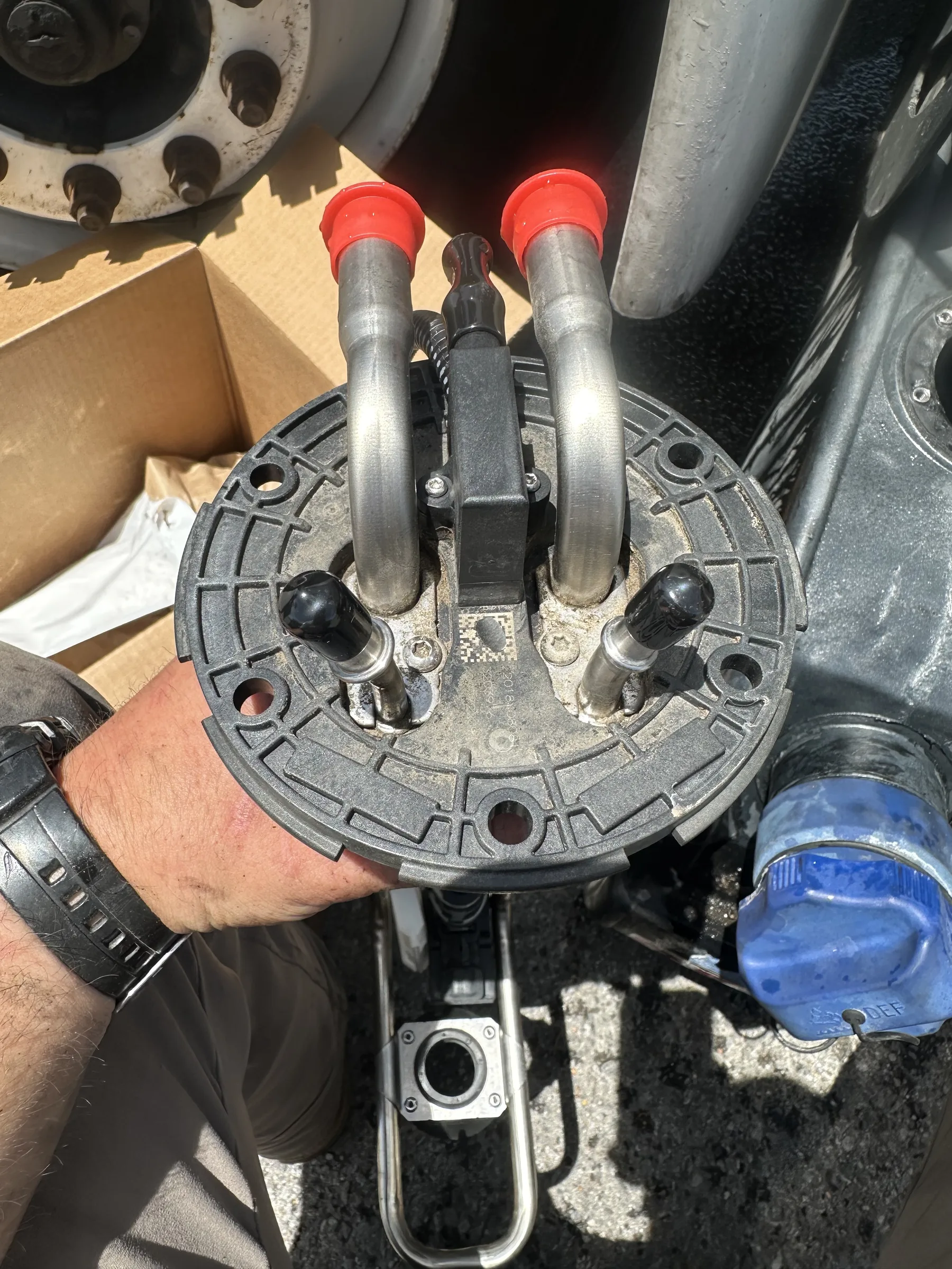 Drive shaft yoke and companion flange after removal